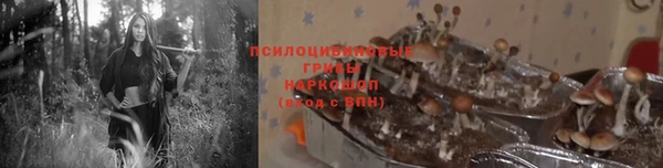 2c-b Куйбышев