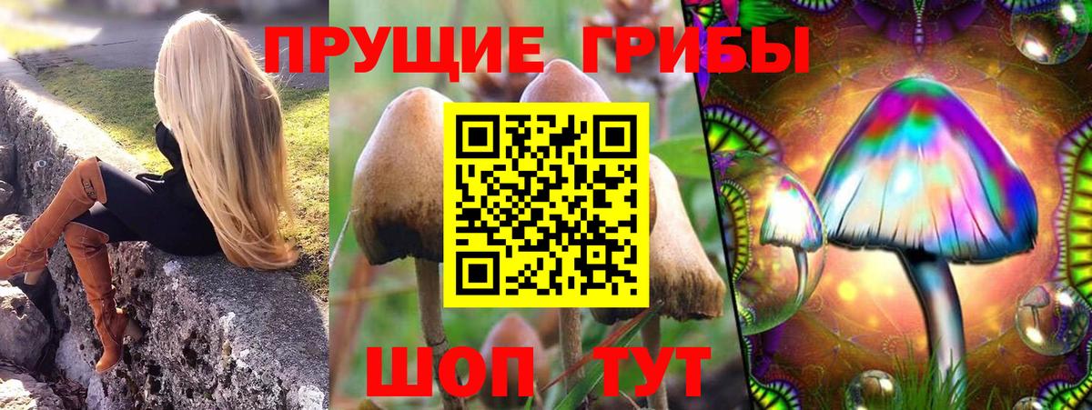 Псилоцибиновые грибы ЛСД Мариинск